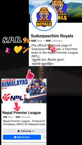 #sudurpaschimroyal🐅 #🇳🇵🐅💛🏏💛💛 #rock🐅💛#highlights #furyou #frypgシ 