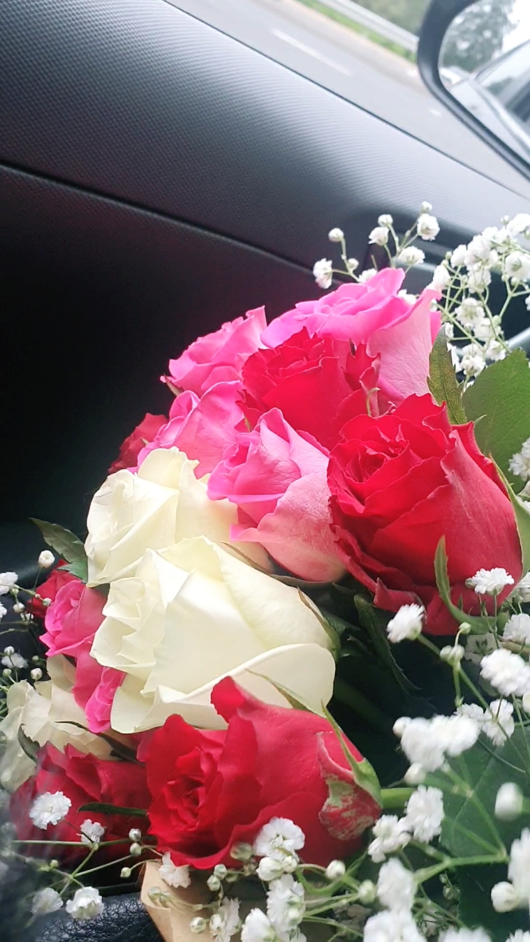 #rose  #roses  #carjourney #4me  #4you  #longdrive #flowers  #romanticizeyourlife  #romance #Love #happy #uk #fyp #winter  #winterdriving 