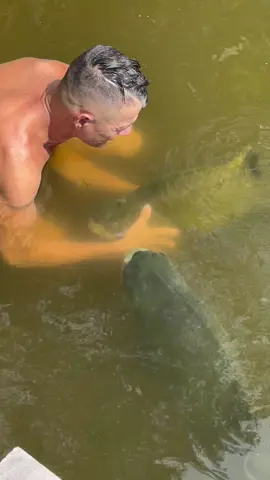 #valdemir  encantador  de peixe gigante 