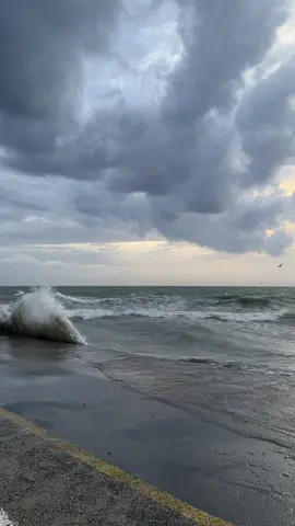 أبديت همي للأمواج❤️‍🩹#هواجيس #explore #قصيد #اكسبلور #waves #explorepage #fypシ゚viral #fouryou #fyp #شعر #viral 
