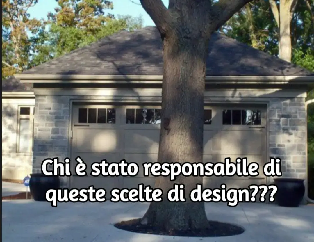#curiosità   #interessante 