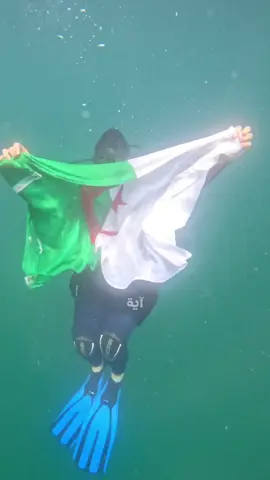 تحيا الجزائر 🇩🇿❤️ #تحيا_الجزائر #حب #ترند #محيو_حفصة #trend #trendingvideo #fyp #viral #الذكاء_الاصطناعي #الجزائر🇩🇿  شكرااا @Israa Sameer @Aludaid Diving 
