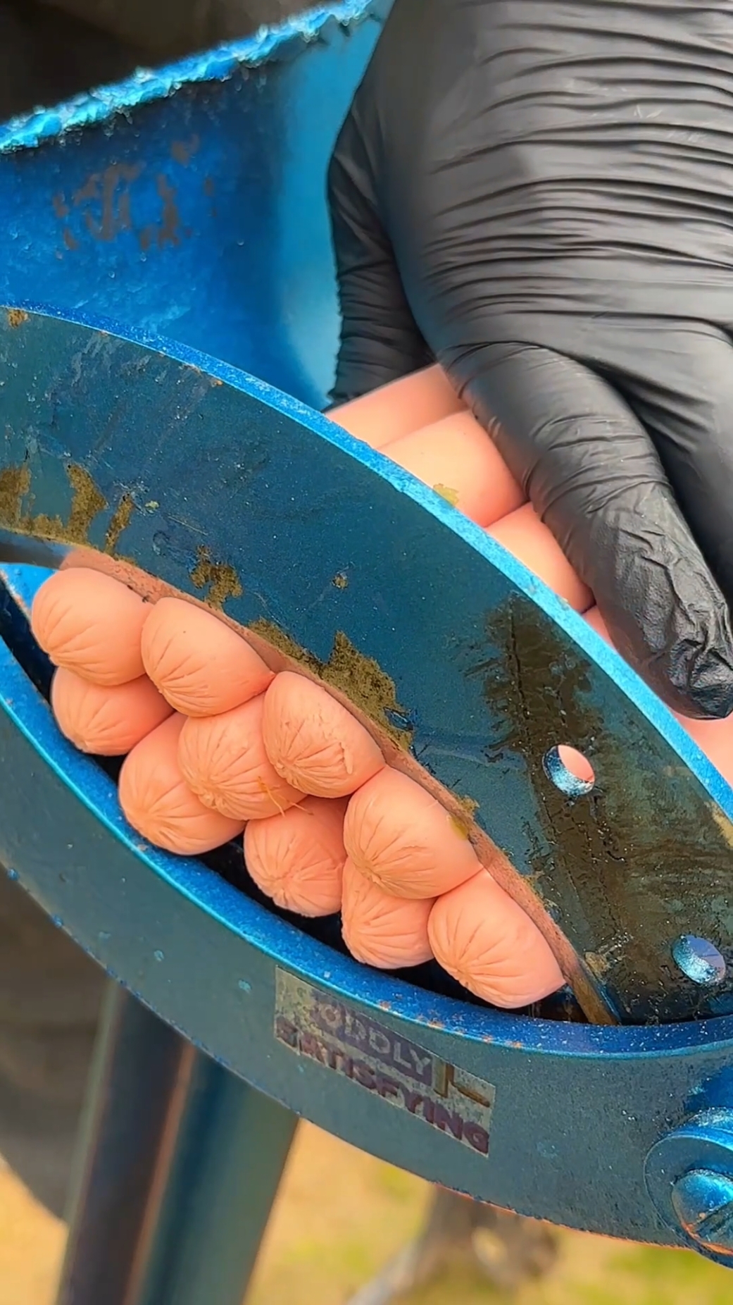 Efficient Slicing #satisfying #satisfyingvideo #asmr #asmrsounds #oddlysatisfying 