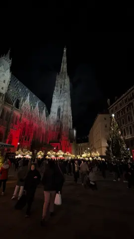 Christmas Vibes in Stephansplatz 🎄 #vienna #viennaaustria #viennavibes #viennatravel #explorevienna #visitvienna #viennaguide #viennacity #christmas 