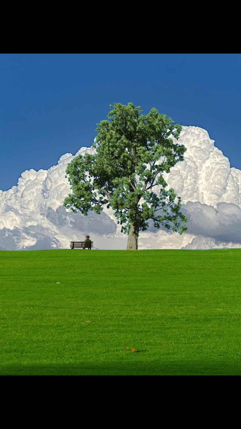 🌿✨ ¡Bienvenidos a un paraíso terrenal! 🌧️🌈 Hoy les traigo este increíble paisaje que parece sacado de un sueño: nubes tan frondosas que parecen algodones en el cielo ☁️✨ y un mar de verde que lo inunda todo 🌱🍃. A veces, la naturaleza nos regala estos momentos mágicos que te hacen detenerte y admirar su belleza 🌍💚. Déjenme un 🌿 en los comentarios si ustedes también aman estos paisajes que te llenan el alma 🌸🙌. ¡No olviden darle like y seguirme para más momentos de naturaleza espectacular! 📲✨ #NubesDeAlgodón #NaturalezaPura #PaisajeDeEnsueño #ExploraElMundo #MomentosMágicos #naturevibes 