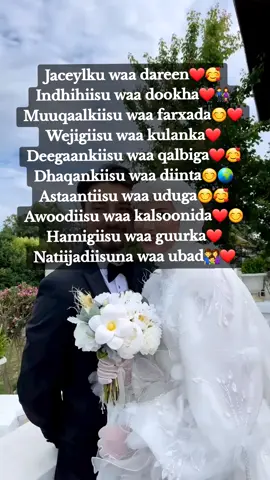 #viwesproblem #jecel 