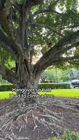 “Hey Joe are you on your way?” Me: 