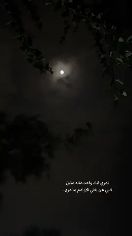تدري انك واحد ماله مثيل  ‏قلبي عن باقي الاوادم ما درى ‏لك يفيض بداخلي من الحب سيل ‏ولا غيرك ما يحرك بي شعره ❤️#اكسبلورexplore #explorer #ليالي_الشتاء #قمر #اخر_الليل #ماجد_المهندس 