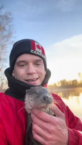 The story of Leya #ottersoftiktok #OtterBuddy #WildlifeTikTok #ViralNature #CuteAnimals #TikTokNature #FurryFriends #AnimalBesties #KayakAdventures #WildlifeLover #wildanimals #naturevibes #fyp #otter #RescueStories 
