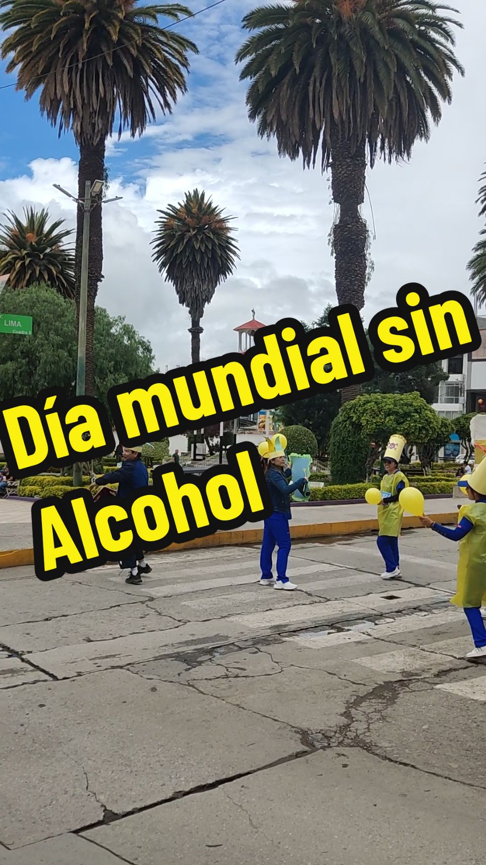 ¿Sabías que un día sin alcohol puede mejorar tu concentración, energía y salud mental? ¡No necesitamos alcohol para disfrutar de la vida! #qhalikay #15denoviembre #abancay #SaludMental #DíaMundialSinAlcohol 