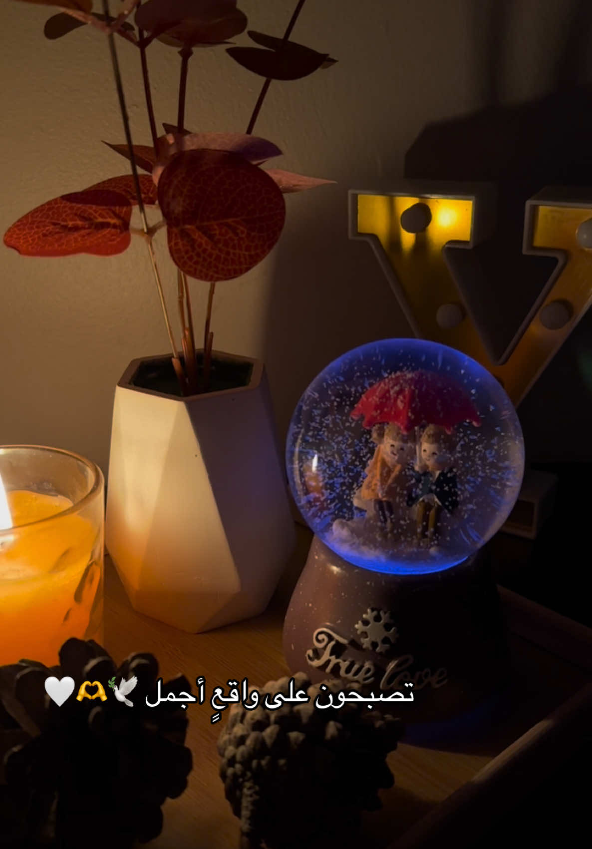 تصبحون على واقعٍ أجمل 🫶 #goodvibes #goodnight #sleep #night #dream #nicedream #تصبحون_على_خير #تصبحون_على_ماتتمنون #موسيقى_هادئه #موسيقى #foruyou #foryoupage❤️❤️ #calm 