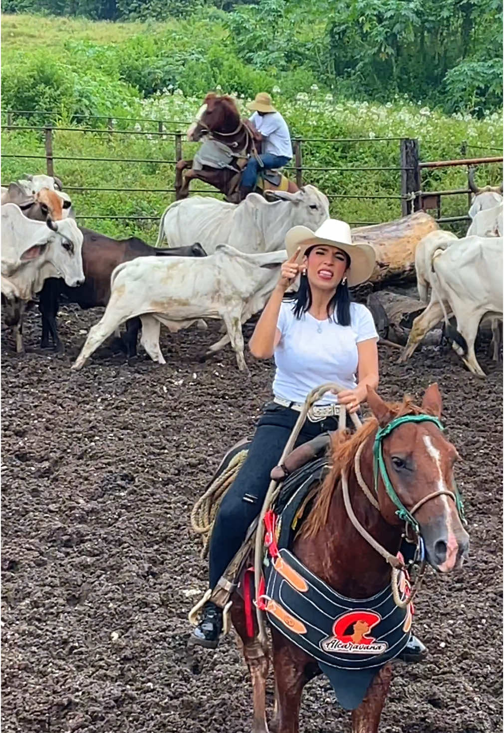 Una Vitiquera para todos ustedesss 🫵🏻 ¡Corazon de concreto!  Mala mala no estaaaaaaa  @Vitico_Castillooo 🤠 Dedicala, compártela y guardala arrpaaaa  #viral_video #musicallanera #mujerllanera #parati #fyp #llano #musica #mariadelosangelesnieto #alcaravana #llaneros #caballos #ganaderia #cujiccito 