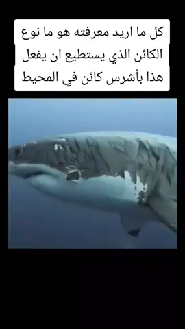 كل ما اريد معرفته هو ما نوع الكائن الذي يستطيع ان يفعل  هذا بأشرس كائن في المحيط . . . #الحيوان #علم #علوم #ثقافه #غرائب #غريب #foryupage #viral #fyp #مصر_السعوديه_العراق #السعوديه_العراق_الاردن_عمان_الكويت #العراق_الاردن_الجزائر_الخليج_السعوديه 