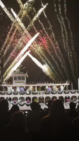 Truly a once in a lifetime moment. Seeing them live is so surreal! 😭💚 #TianasBayouAdventure #DisneyFestivalOfHolidays #HolidaysatDLR #Disneyland #hosted @Disney Parks