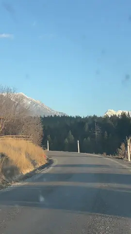 🏔️🌲👀 😊 Do the #mountains call your name? #sunset cruise on the old #mountain #road #trees and #nature #Outdoors #autumn