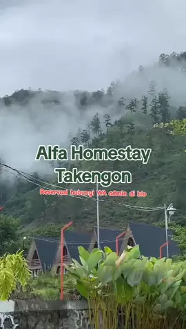 Alfa Homestay Takengon note : 1 homestay dapat masuk 8 - 10 tamu. Informasi & Reservasi  Hubungi WA admin 082218349640