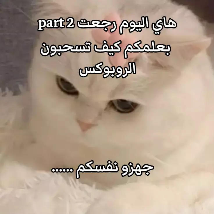 شرايكمم؟ 