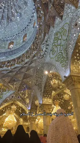 زياره الان من مقام العلويه شريفه عليها سلام ❤️الله يقضي حاجه كل محتاج #مشاهير_تيك_توك #شعب_الصيني_ماله_حل😂😂 