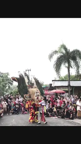 lagunya begitu indah,lantas bagaimana kisah kalian di era ini?@singoduto @suro_badog #jathilan #fypage #fypシ #singodutoselogiri #barongan #reogponorogo #kesenian #xybca 