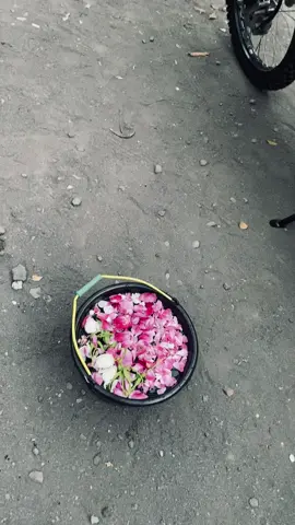 mbiyen ng ndalan ngur iso sholawat i seiki iso nduweni huhu#fyppppppppppppppppppppppp #foryourpage #mgl24jam #fypageシ #fyp #crf150l 