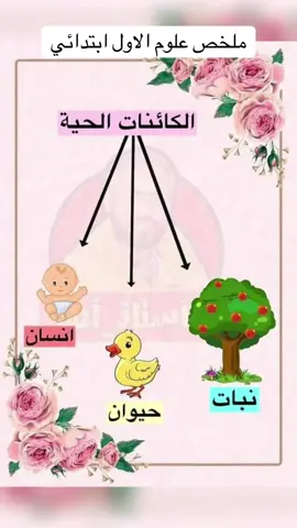 #العام_الدراسي_الجديد #قمة_تيك_توك_للمبدعين 