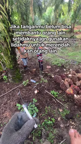 #fyp #sawit #sawitsumatraindonesia🌴🌴🌴🇮🇩🇮🇩 #sawitontiktok #kulisawitbapak🌴🌴 