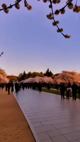 #الابتعاد_عن_بعض_الاشخاص_غنيمة #عن #الاشخاص #استمع #و #استمتع #لا #تقترب #من #الاعداء #🇸🇦 #🇩🇿 #france🇫🇷 #typ #algerie🇩🇿 #وهران #معسكر #الجزائر #منظر_طبيعي_رائع #صوت #جميل #100k 