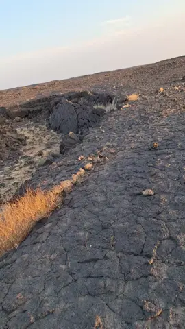 #اكسبلور #الحايط_الفيضه_الوسعه_الحليفه #ذوقي_للناس_الرايقه #اكسبلور 