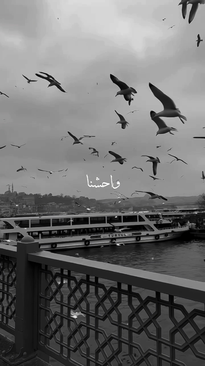 Waheshna  . . . #muhammad #waheshnayarasulullah #maherzain #islamicstatus #nasheed #darkvibes #viralnasheed #naat #viralnaat #uمar #4r076 #ayzalwrites #madina #makkah #makkahmadinah🕋 #explore #trandingvideo #trading #goviral 