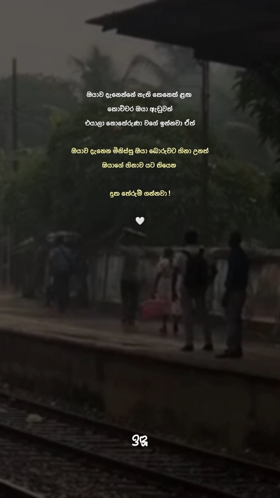 🥺🤍#induu💫🤍 #fypシ #foryoupage #viral #srilanka #trending 