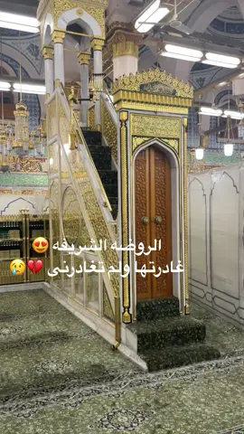 #العمره #العمرة🕋 #umrah #الروضه #الروضه_الشريفة #الحرم #المسجد_النبوي_الشريف #قبر_الرسول #المدينه_المنورة #الحمدلله_دائماً_وابداً #روضه #مكه #رزق #kabbah #الكعبه #suadiarabia #makka #explore #اكسبلور #اكسبلورexplore #vrial_video 