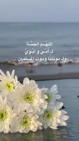 #مساء_الخير #اكسبلور#اللهم_صلي_على_نبينا_محمد #اكسبلورexplore#امي#ابي#دعاء #explore #trend#tiktok #اكسبلوررررر#💔💔💔  #اجر_لي_ولكم#صدقه_جاريه #😭😭😭😭😭😭💔💔💔💔  #fppppppppppppppppppp  #اكسبلورexplore#الحمدلله_دائماً_وابداً #استغفرالله_العظيم_واتوب_اليه  #سبحان_الله_وبحمده_سبحان_الله_العظيم#الشعب_الصيني_ماله_حل😂😂 #قران_كريم_ارح_سمعك_وقلبك#قرآن_كريم#قرآن_كريم#السعودية 