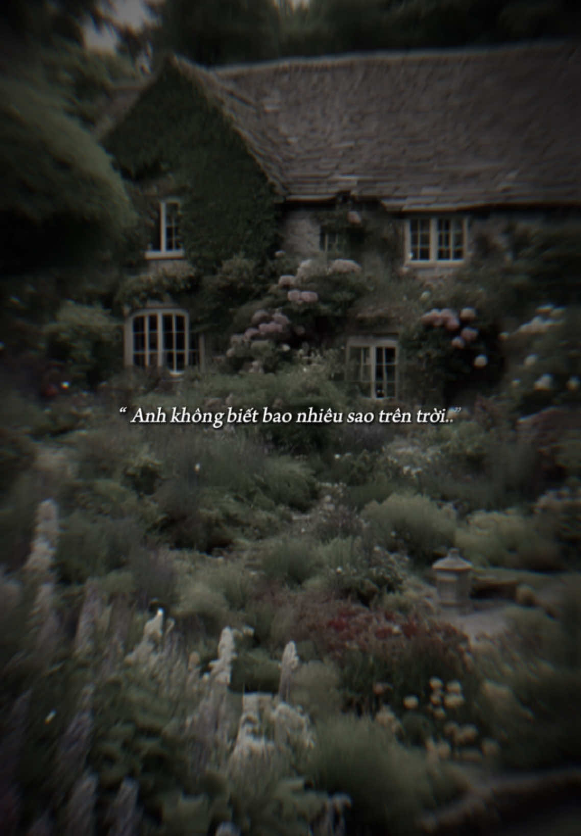 #CapCut Anh không biết bao nhiêu sao trên trời.. #ngts107 #confide_one 