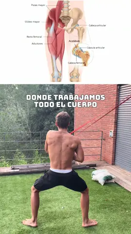 Mejora tu rotación!🤸‍♂️🫶