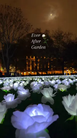 The Ever After Garden is free, and opening times are from 3pm to 9pm, from 14th November to 18th December 2024. 📍Ever After Garden Grosvenor Sq, London W1K 6LD #londonchristmas #whattodoinlondon #visitlondon #londonchristmaslights #festivemagic #londontourist #londoncity #londra #londres #mayfair #londontravel #thingstodoinlondon #christmasmagic #christmaslights #londonthingstodo #londontrip #londonguide #christmasinlondon #londonholiday #londonactivities #thingstodo #explorelondon #everaftergarden #londonblogger #londonlife #londonvibes