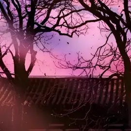 #fangyuan #reverendinsanityedit  #narradortiktok #frases #reverendinsanity #novelas  #paratiiiiiiiiiiiiiiiiiiiiiiiiiiiiiii #fangyuanedit 