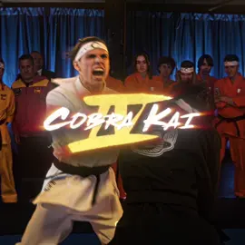 Falcão no prime??💀#edits #cobrakai #cobrakaiedit #cobrakai🐍 #netflixseries #cobrakaiedits #fyp #foryour 