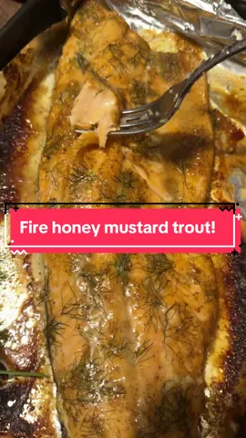 Fresh caught canadian lake trout caught by yours truley #fire #fyp #fish #seafood 
