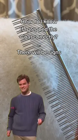 #doggroomersoftiktok #doggroomer #standardpoodle #poodle 