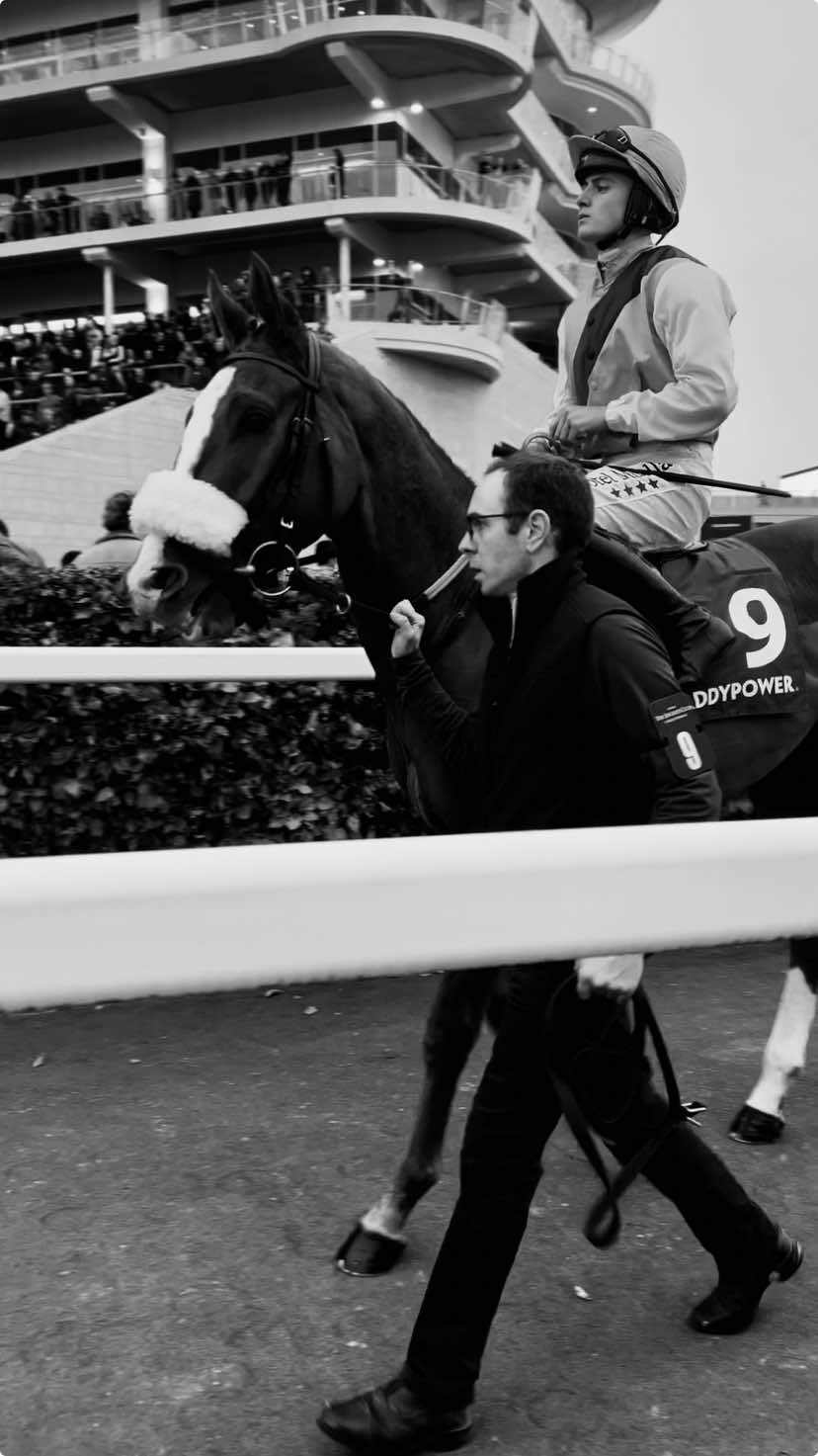 #racing #cheltenham #cheltenhamraces #horse #fyp #thoroughbred #race #gallop #foryou 