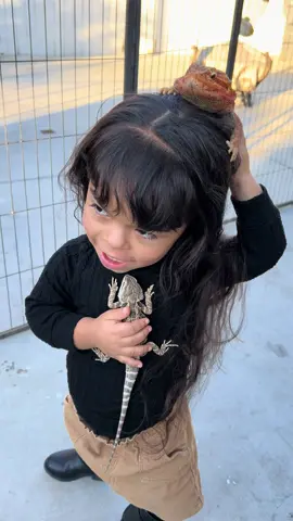 Residencia Garcia un dia normal. #theegarciafamily #beardeddragon 