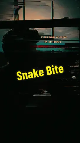 i’m still not sure if this is different enough…. #s#snakebitev#venomn#newmusico#originalmusicl#Lovel#lovesongskit 