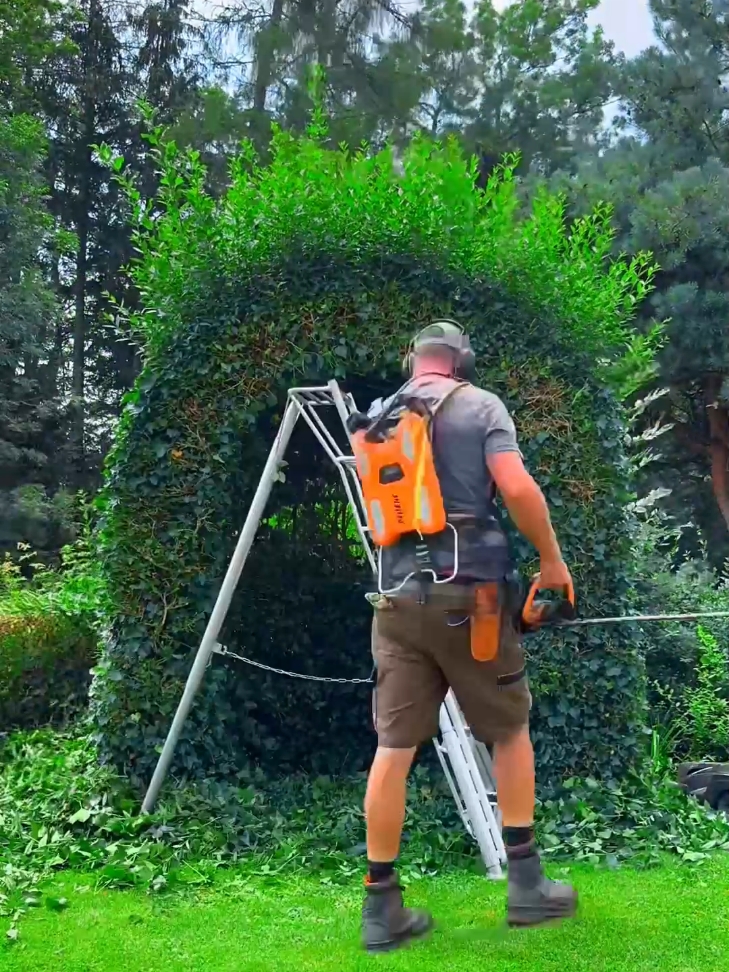 Wait for the last clip 👌🧑‍🌾 #garden #satisfyning #hedges #landscaping #cleaning #powerwashing 