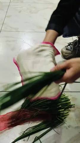 Sự thật sau những mớ hành lá xanh tươi #hanhla