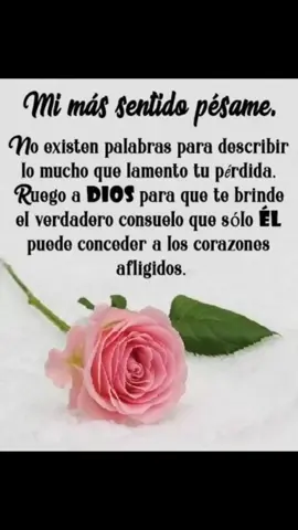 #dúo con @mcmc #miscondolenciasalafamilia😔😢 🙏🙏🙏🙏🥹🥹🥹🥹🥹🥹