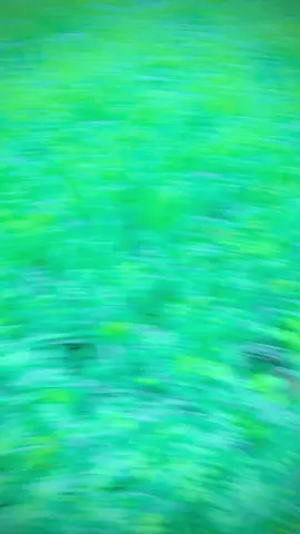 #trending #💫✨ #videoforyoupage #unfrezzmyaccount 