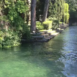 #backyardvibes #garden  #backyardgarden #dream#house #dreamhouse #aesthetic #need 