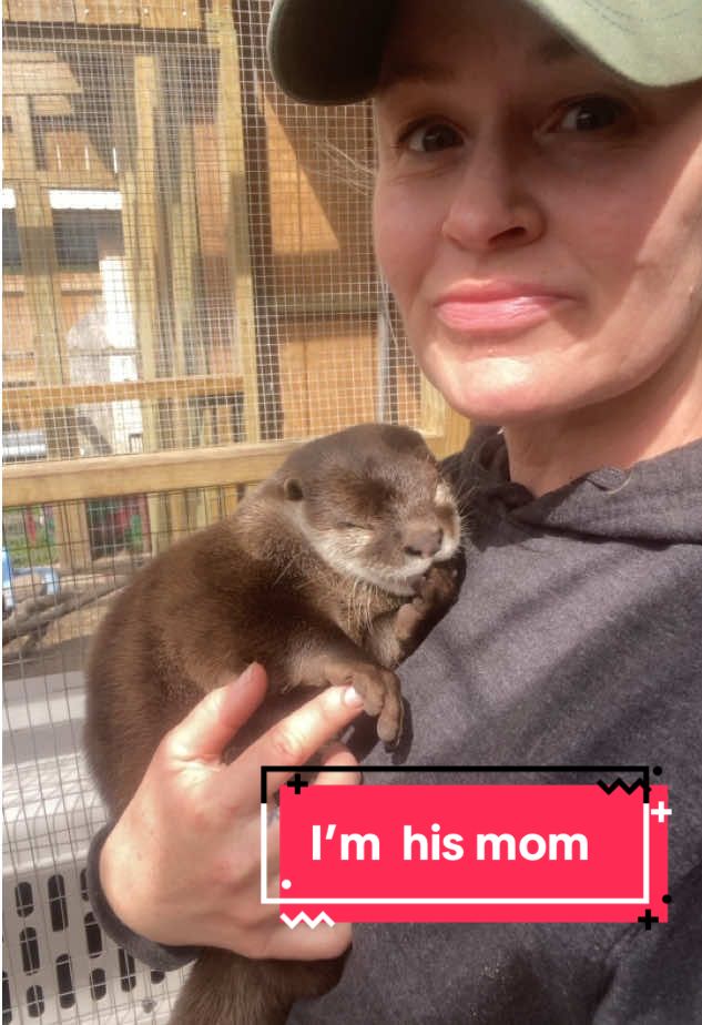 Such a small boy #otter #babyotter #imhismom