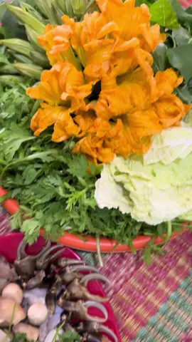 Lẩu cua đồng tây ninh nhooa 😘