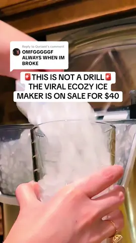 Replying to @Quriaeé NOT A DRILL PEOPLE 🥶🥶🥶🥶